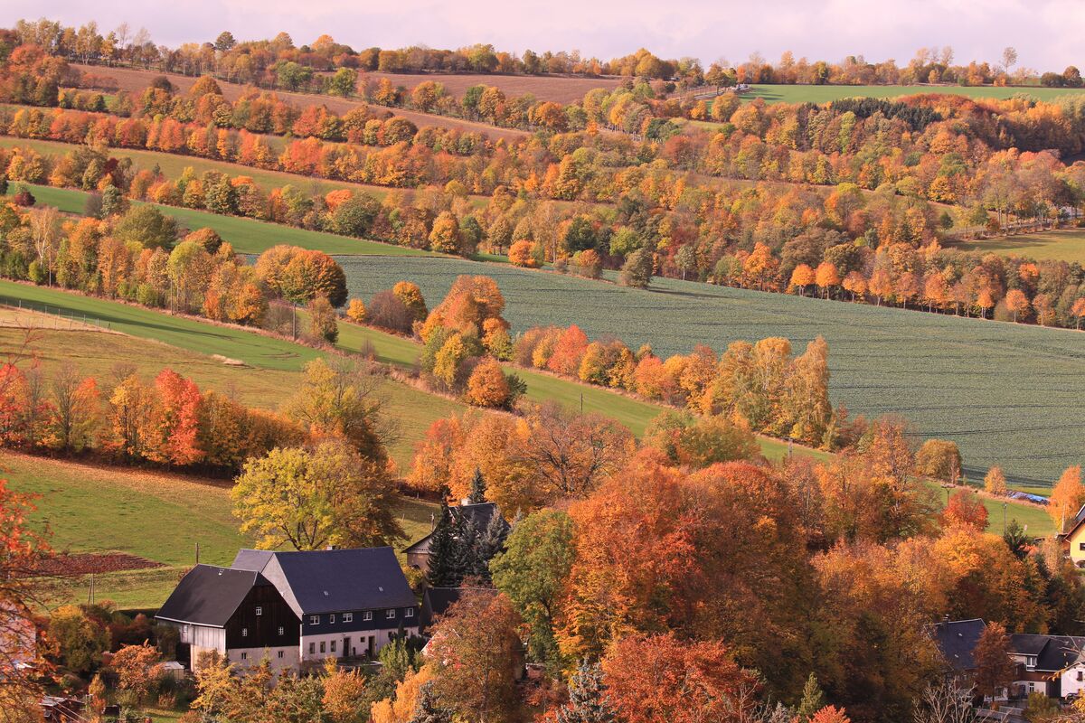 Herbstliche Hügellandschaft im Naturpark Erzgebirge/Vogtland mit einem traditionellen Fachwerkhaus, der Region, in der wir arbeiten.